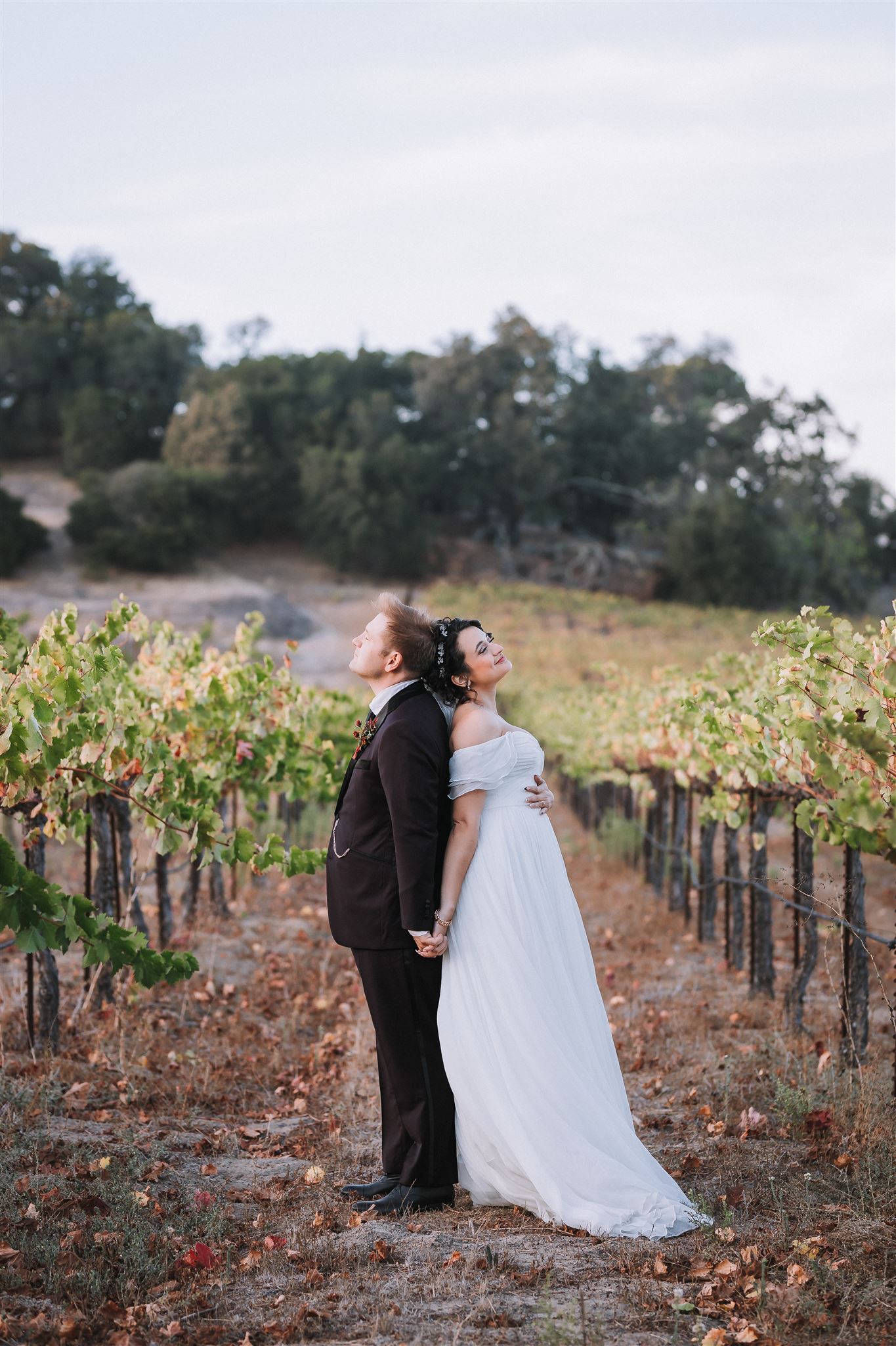 Vineyard Wedding at Fortino Winery in Gilroy California