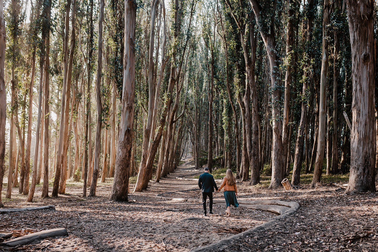 San Francisco Engagement Photographer