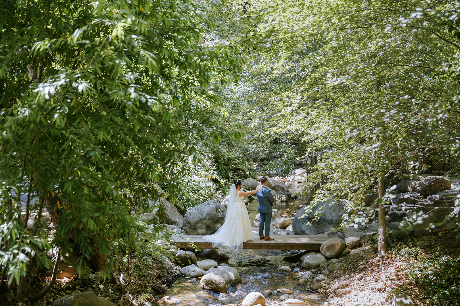 Newlyweds surrounded by redwoods at Saratoga Springs in Saratoga, California